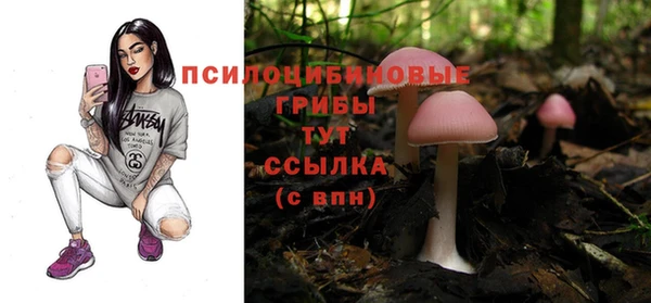 гашик Майский