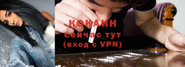 гашик Майский