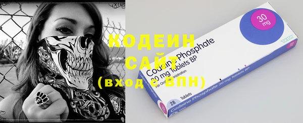 гашик Майский