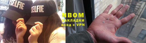 гашик Майский