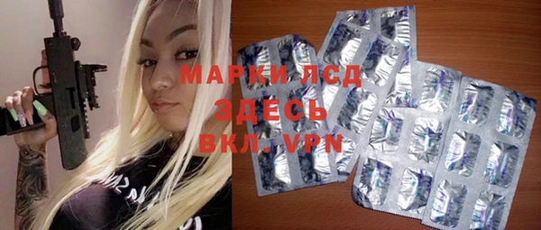 гашик Майский
